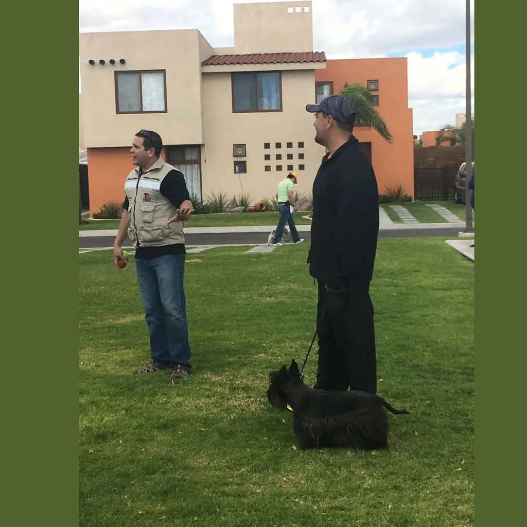 Adiestramiento de perro mestizo obediente en parque de Querétaro
