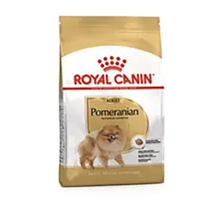 POMERANIAN ADULT