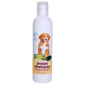 Shampoo General Cachorro