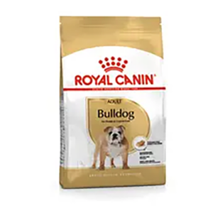 BULLDOG ADULT