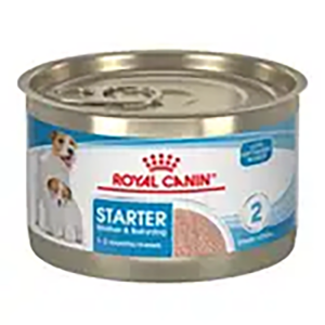 STARTER MOTHER & BABYDOG MOUSSE IN SAUCE