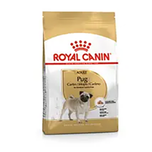PUG ADULT