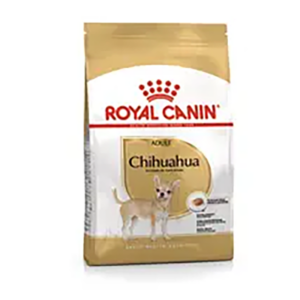 CHIHUAHUA ADULT