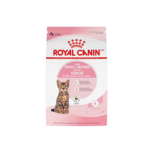 KITTEN SPAYED/NEUTERED
