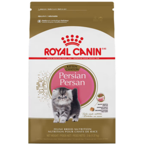 PERSIAN KITTEN