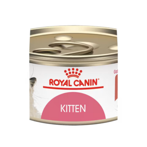 KITTEN THIN SLICES IN GRAVY