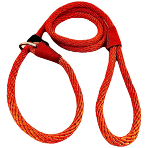 Correa Nylon