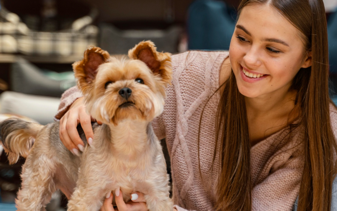 Que debes saber sobre la adquisición de tu nueva mascota