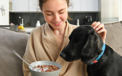 ¿Qué es la nutrición y por qué es tan importante para perros y gatos?
